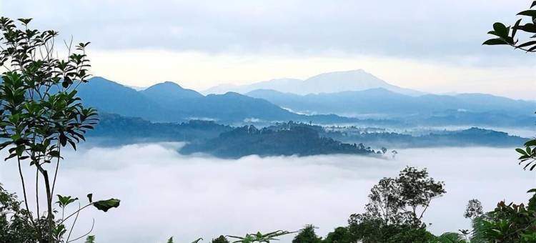 潘泰皇家酒店(Pantai Regal Hotel)图片