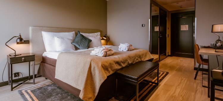 阿维安波利斯凯瑞华晟酒店(Clarion Hotel Aviapolis)图片