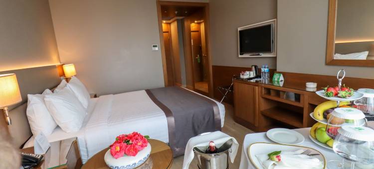 布尔萨市中心假日酒店(Holiday Inn BURSA - CITY CENTRE by IHG)图片