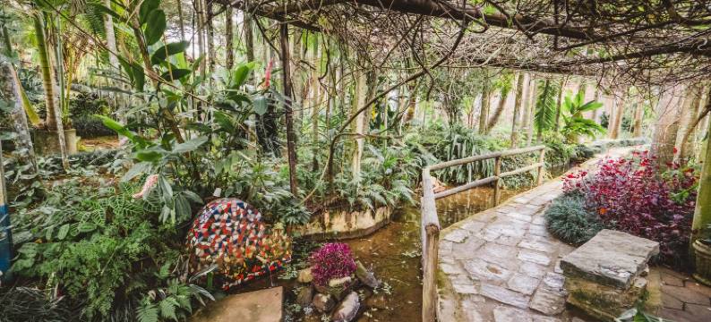 沃沃森霍西葡特色住宿酒店(Hotel Pousada Vovô Zinho)图片