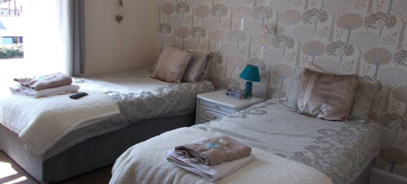 白狮酒店(The White Lion Hotel)图片