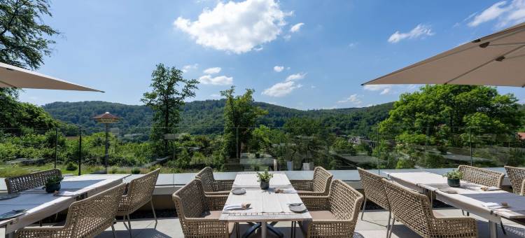 Freiwerk酒店及水疗套房(Hotel & Spa Suiten FreiWerk)图片