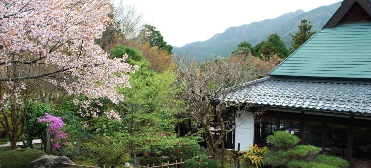 大原温泉旅馆-芹生-(Japanese Ryokan Seryo)图片