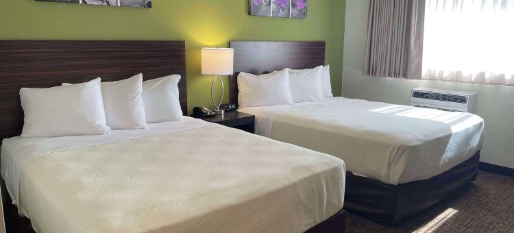 墨尔本机场郊区开放式客房酒店(Suburban Studios Melbourne Airport)图片