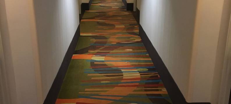 帕利斯岛贝斯特韦斯特酒店(Best Western Pawleys Island)图片