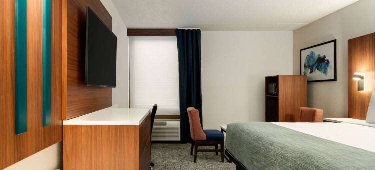 威廉斯堡蔚景温德姆酒店(Wingate by Wyndham Williamsburg)图片