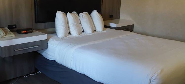 拉维什套房旅馆(Lavissh Inn and Suites)图片