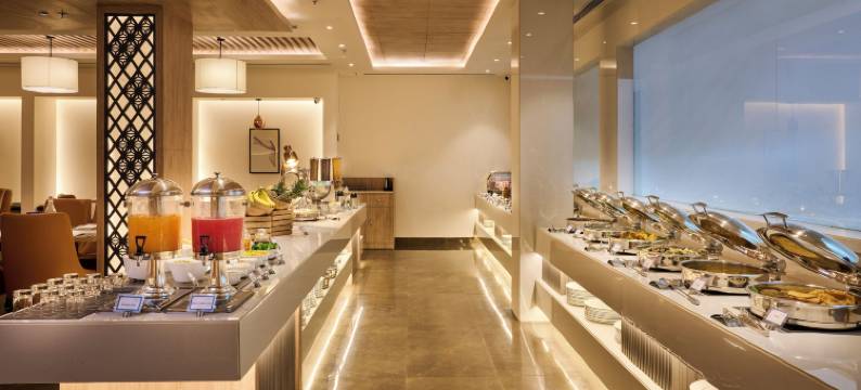 得利特萨罗瓦尔波蒂科法里达巴德(Delite Sarovar Portico Faridabad)图片