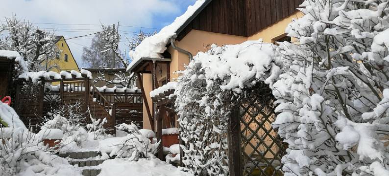 菲沃包曼酒店(Fewo Baumann)图片
