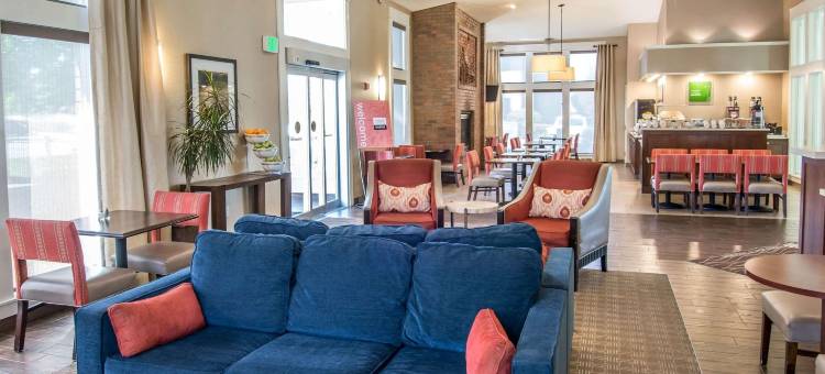 舒适套房酒店(Comfort Inn & Suites)图片