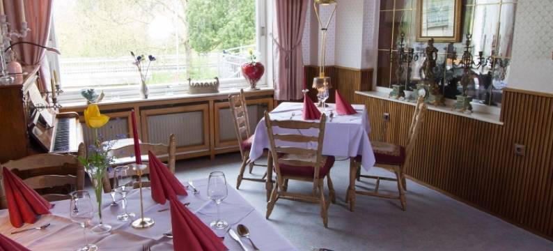 祖尔波斯特酒店 - 摩泽尔河畔城堡(Hotel Zur Post)图片