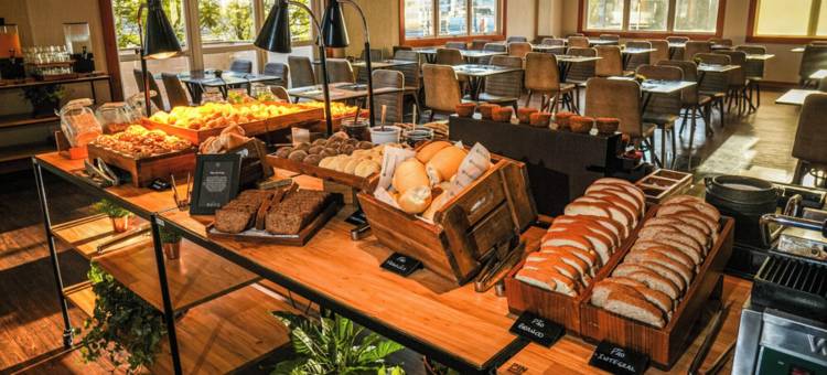 南卡希亚斯城际酒店(Intercity Caxias do Sul)图片