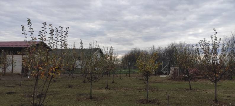 萨拉斯法尔玛47(Salaš Farma 47-Miris Dunja)图片