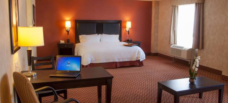 维多利亚城欢朋酒店(Hampton Inn by Hilton Ciudad Victoria)图片