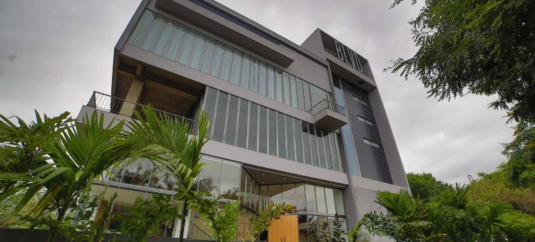 The Vern at Blvd图片