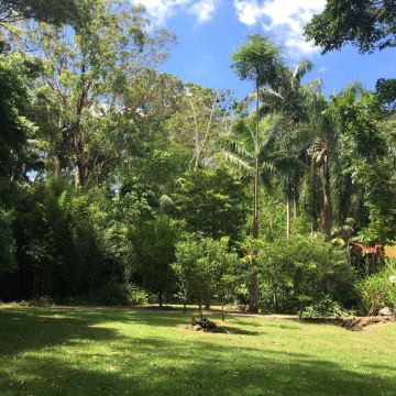 鸣禽雨林度假酒店(Songbirds Rainforest Retreat)图片