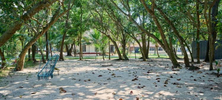 马拉里克古兰生命之树马莱里沙滩度假村(Seclude Kerala, Marari Sands)图片