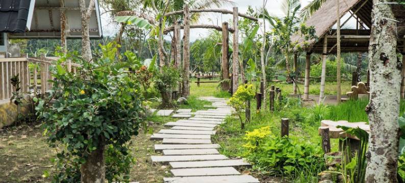 阿兰卡天帕桑(Aranka Tempasan)图片