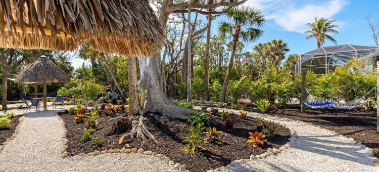 Driftwood旅馆(Driftwood Inn)图片