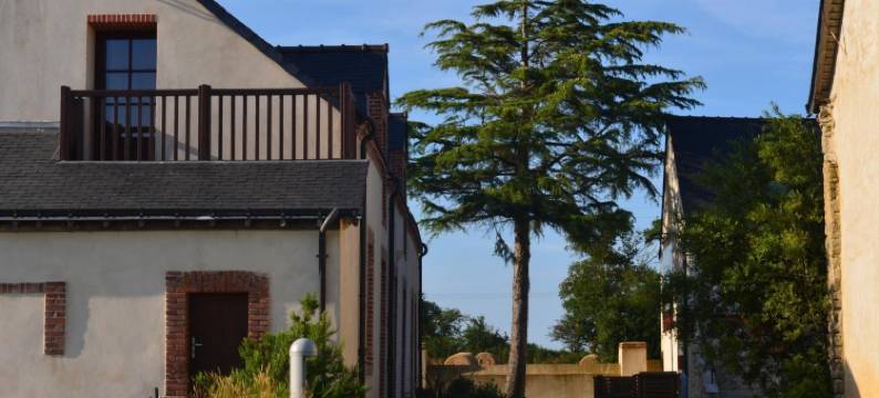 布朗肖农场之家酒店(Logis Hôtel la Ferme du Blanchot)图片