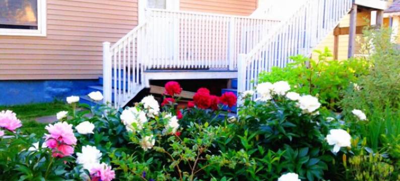 荣耀贵宾套房酒店 - 蒙顿市中心(Glory Guest Suites, Downtown Moncton)图片