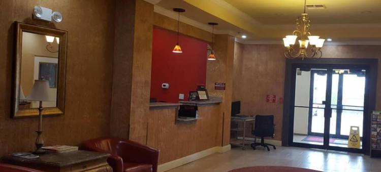 雷迪酒店(Reddy Hotel)图片