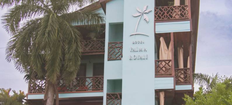 皇家棕榈酒店(Hotel Palma Royale)图片