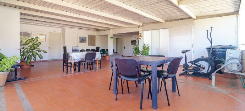 Ayenda兰花19(Ayenda Orquidea 19)图片