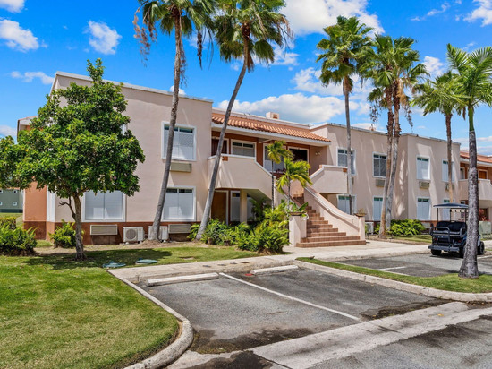 PMI波多黎各的帕尔马斯