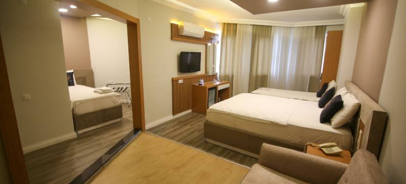 塞维克宫酒店(Cevik Palace Otel)图片