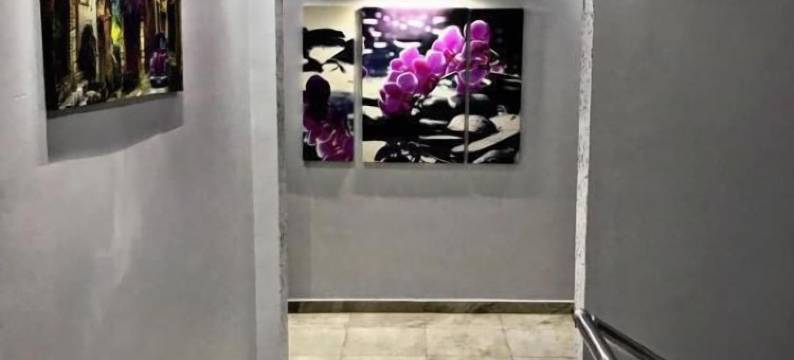 莲花酒店(Lotus Otel)图片