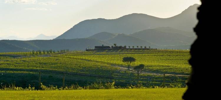 萨佩拉菲塔酒店(Sa Perafita - MF)图片