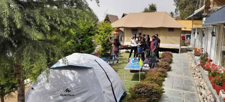 雪松营地(Camp Cedar)图片