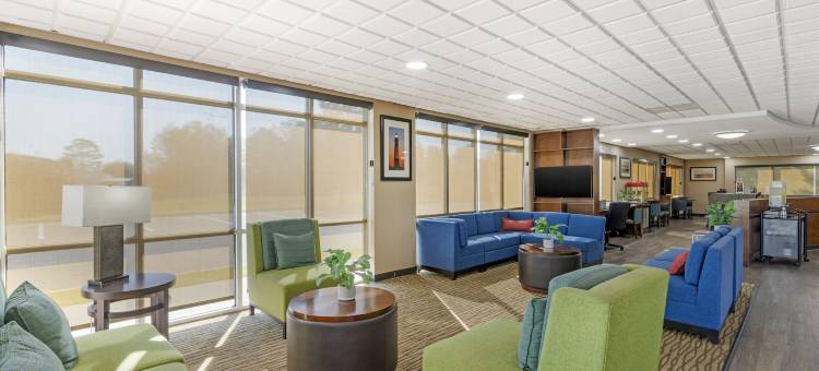 布伦瑞克舒适酒店(Comfort Suites Brunswick)图片