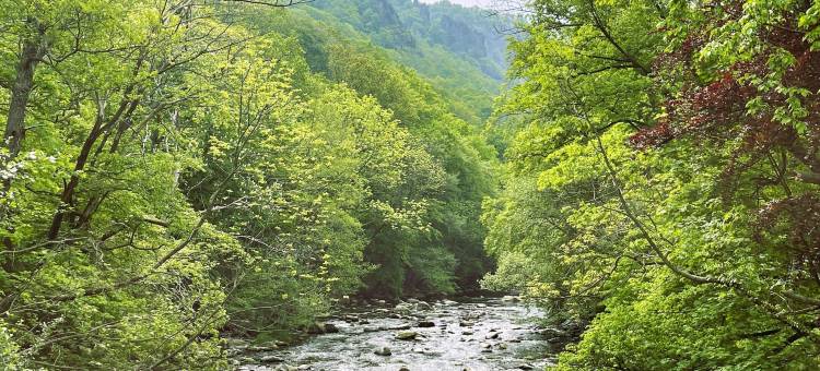 Harzhotel Warnstedter Krug图片