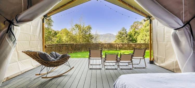 山上种树牛樟森林休闲农场图片