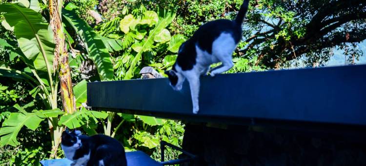 九份未央居景观民宿图片