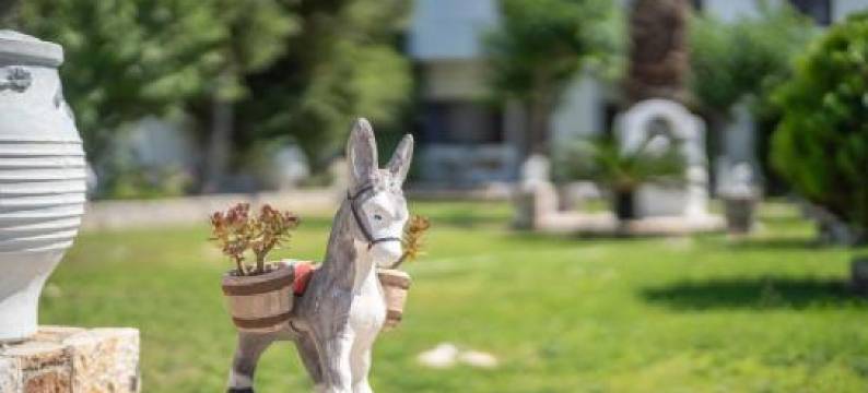 Skyros Avra Residences图片