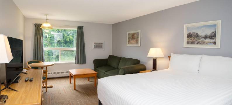 欣顿海岸酒店(Coast Hinton Hotel)图片