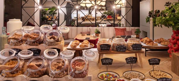 加泰罗尼亚广场西班牙酒店及水疗中心(Catalonia Plaza Espana Hotel & Spa)图片