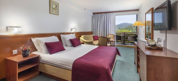 杰泽洛酒店(Hotel Jezero)图片