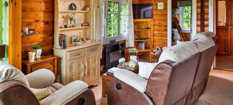 Log Cabin in Snowdonia near Rhinog Mountains图片