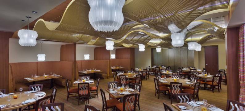 湾湖塔迪士尼当代度假村(Bay Lake Tower at Disney's Contemporary Resort)图片