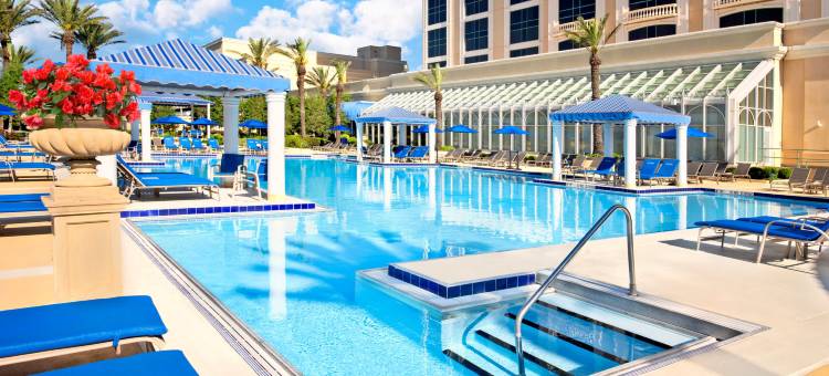 美丽海滨度假村(Beau Rivage Resort & Casino)图片