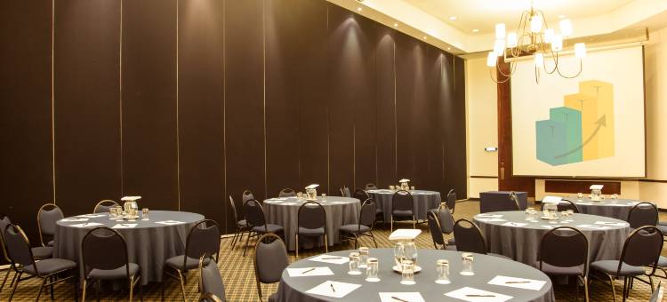 佩里费里克南费斯塔酒店 (Fiesta Inn Periferico Sur)图片