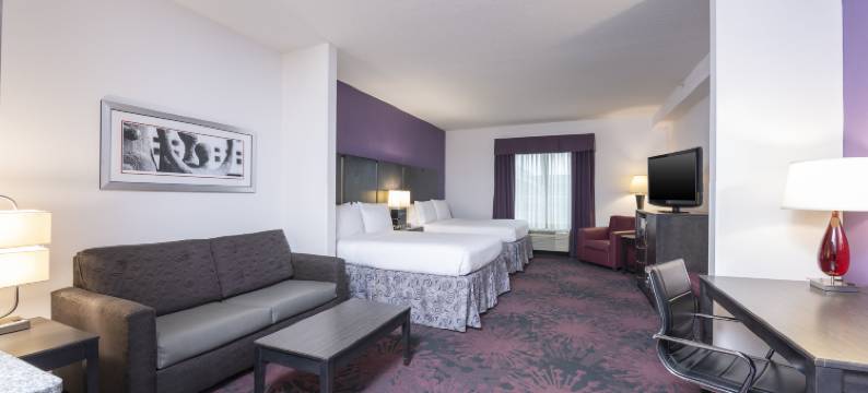 智选假日套房酒店哥伦布 - 北极星大路(Holiday Inn Express & Suites COLUMBUS - POLARIS PARKWAY by IHG)图片