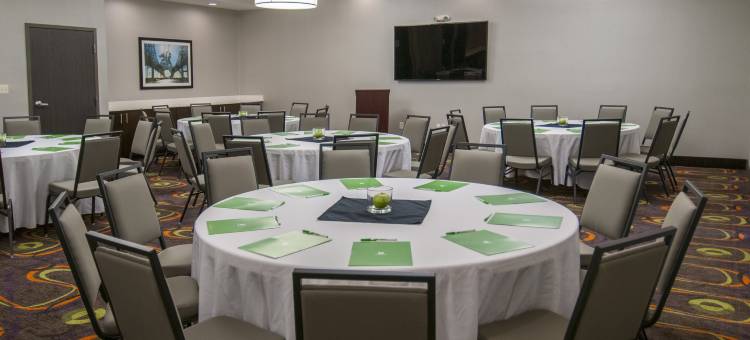 新奥尔良机场北假日酒店(Holiday Inn New Orleans Airport North)图片