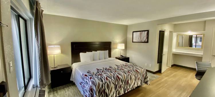 图森市中心大学红顶酒店(Red Roof Inn Tucson Downtown - University)图片