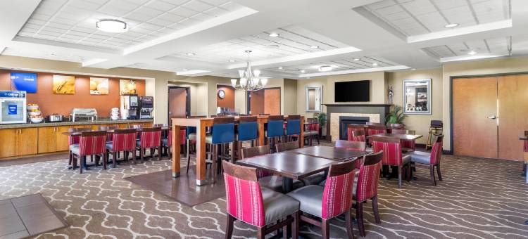 舒适套房酒店(Comfort Suites)图片