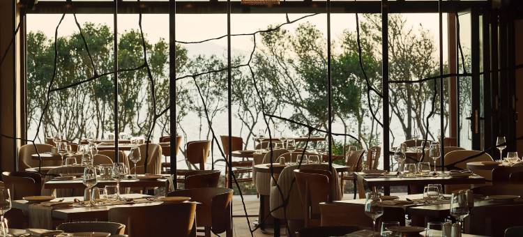 Zélia Halkidiki，属于 Destination by Hyatt 品牌(Zélia Halkidiki Part Of Destination By Hyatt - Adults Only)图片